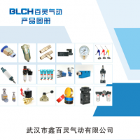 武漢百靈氣動歡迎您！